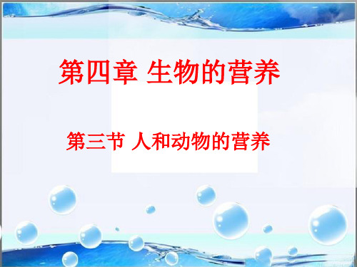 《人和动物的营养》 课件精品PPT课件
