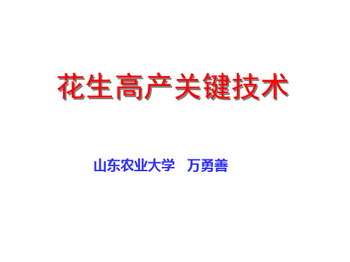 万勇善教授：花生高产关键技术