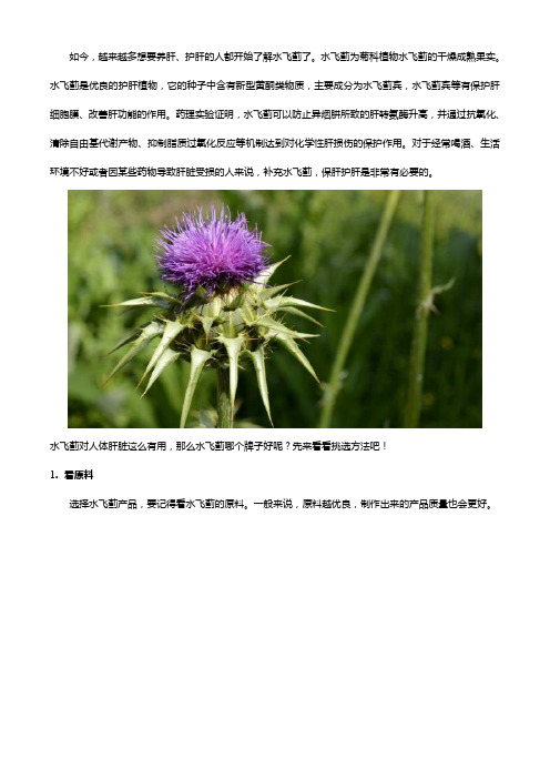 水飞蓟哪个牌子好,挑选方法记得看