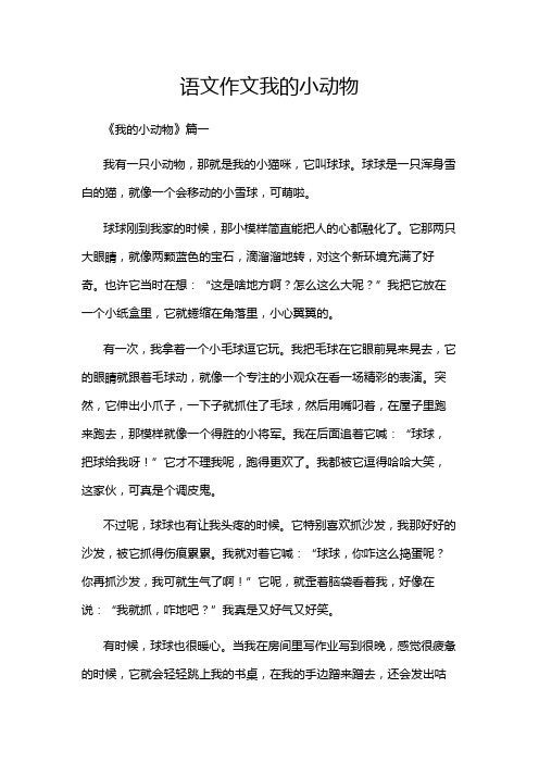 语文作文我的小动物