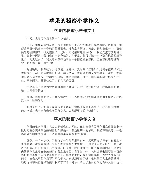 苹果的秘密小学作文