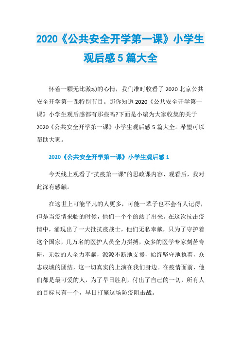 2020《公共安全开学第一课》小学生观后感5篇大全
