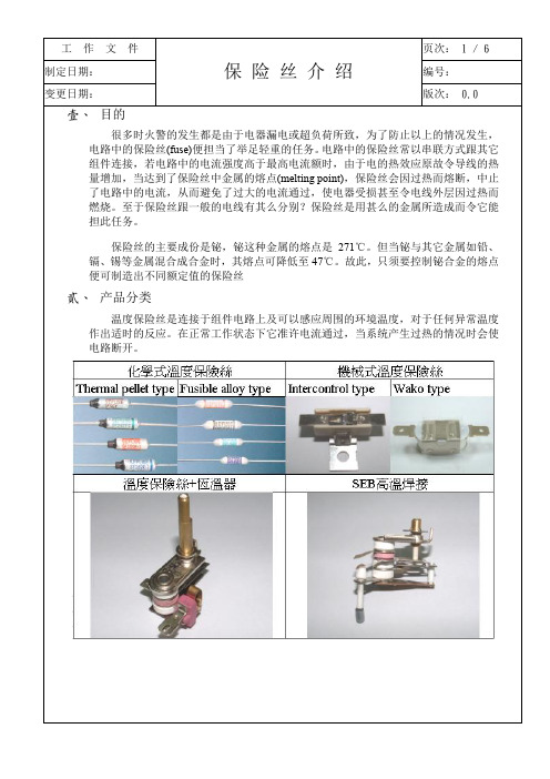 B31保险丝介绍