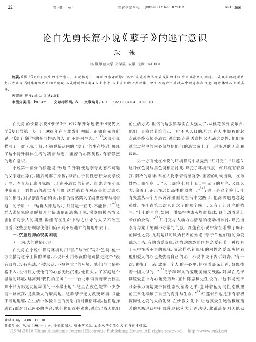 论白先勇长篇小说_孽子_的逃亡意识_耿佳