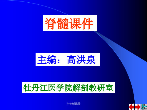 脊髓ppt课件
