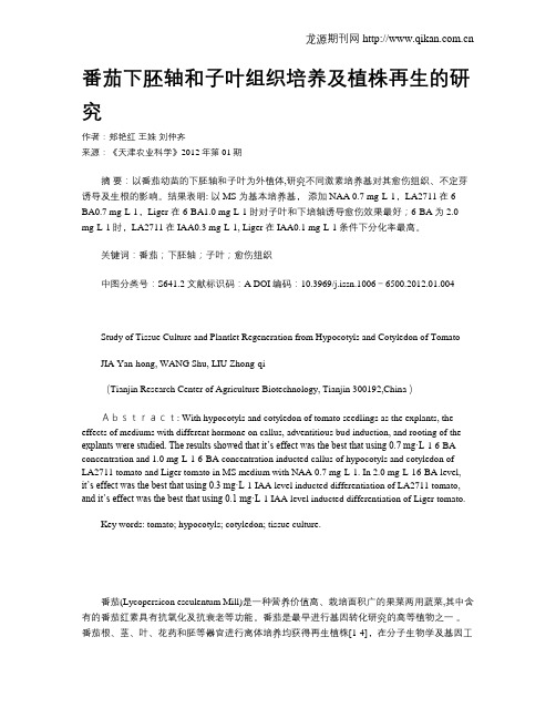 番茄下胚轴和子叶组织培养及植株再生的研究