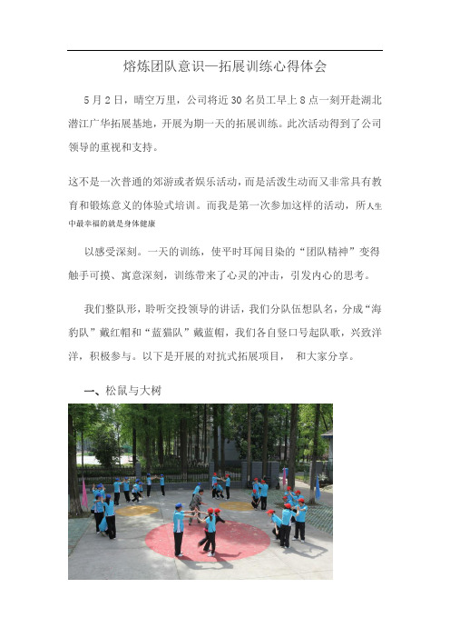 熔炼团队意识—拓展训练心得体会