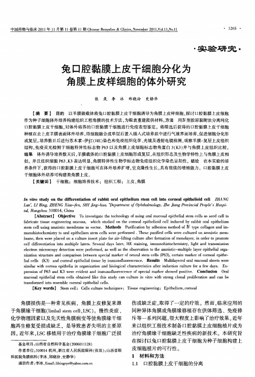 兔口腔黏膜上皮干细胞分化为角膜上皮样细胞的体外研究