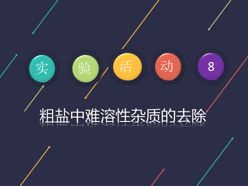 人教版九年级化学下册课件：第11章 实验活动8 粗盐中难溶性杂质的去除(共16张PPT)