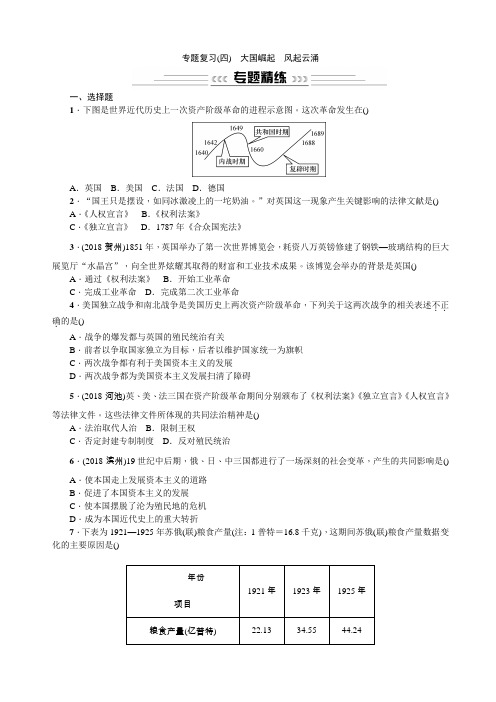 2019年中考历史专题复习(四) 大国崛起 风起云涌——主要资本主义国家的发展史