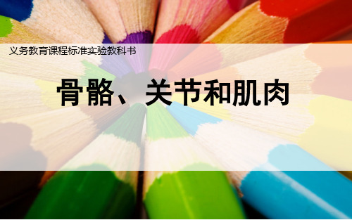 小学科学【苏教版】骨骼PPT公开课课件1