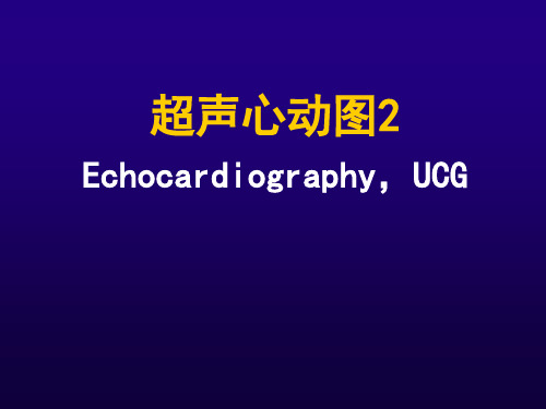 超声心动图2-异常33页PPT