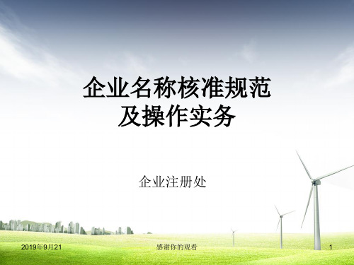 企业名称核准规范及操作实务.ppt