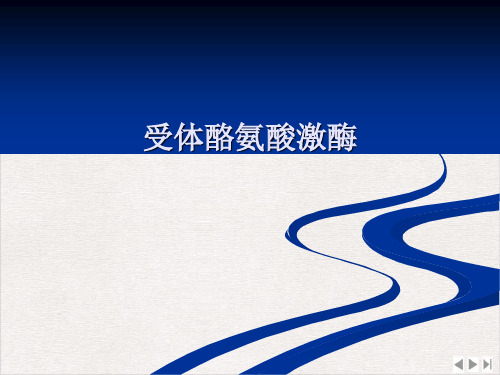 受体酪氨酸激酶ppt课件