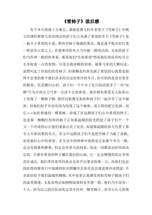 《雪柿子》读后感(1000字).docx