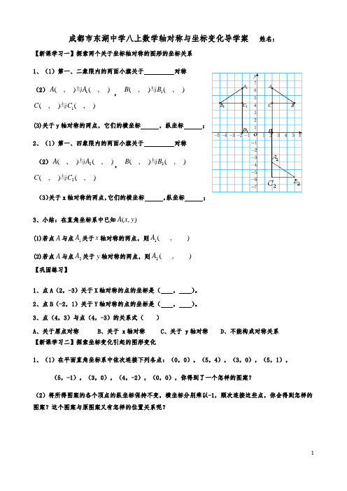 成都市东湖中学八上数学轴对称与坐标变化导学案