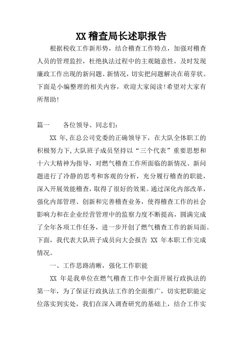XX稽查局长述职报告