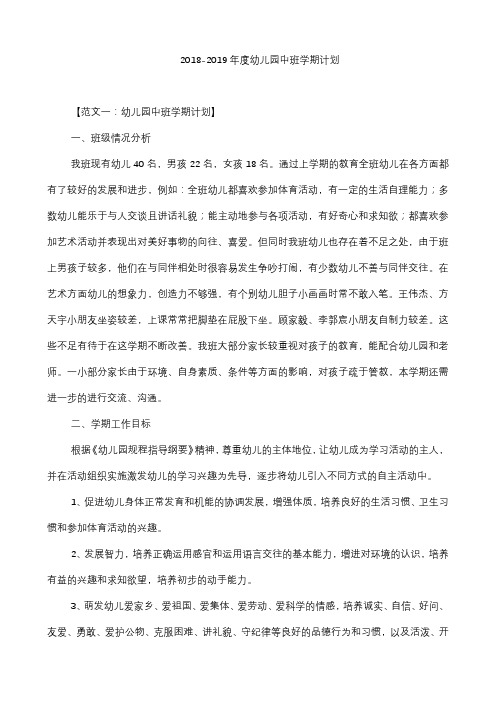 2018-2019年度幼儿园中班学期计划4篇