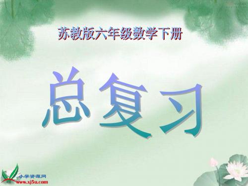(苏教版)六年级数学下册课件_总复习