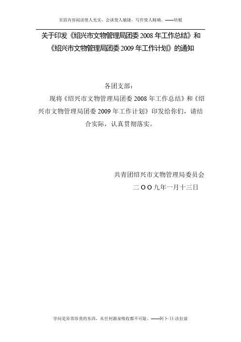 2008年团委总结2009年思路