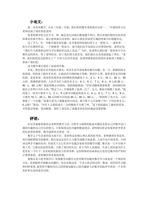 数学小论文及评语