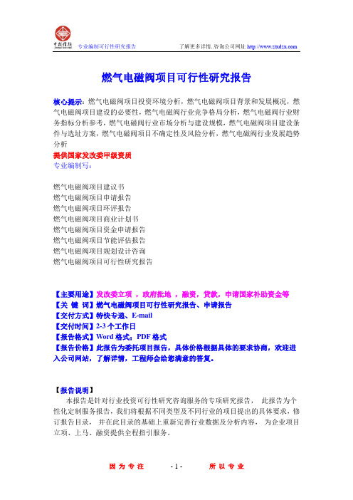 燃气电磁阀项目可行性研究报告