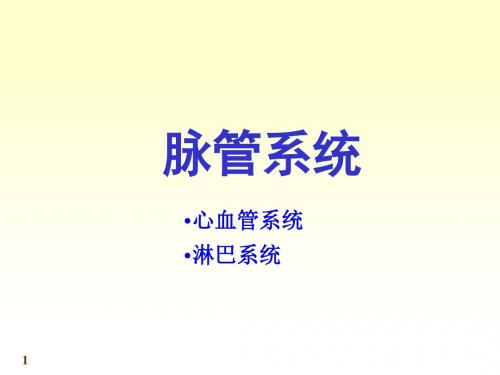 8-1脉管总论