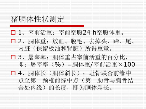 1-5：猪胴体性状测定