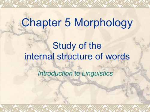 chapter 5 Morphology