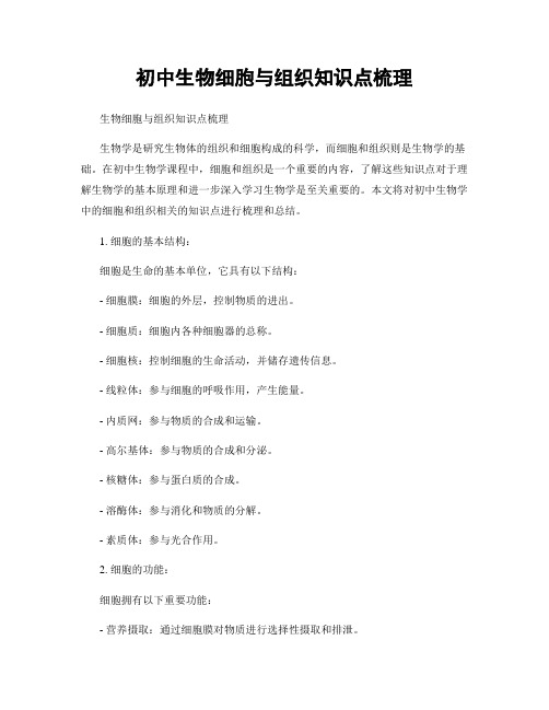 初中生物细胞与组织知识点梳理