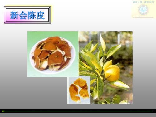 陈皮