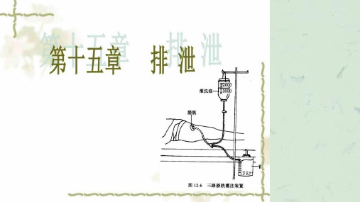 排泄的护理课件