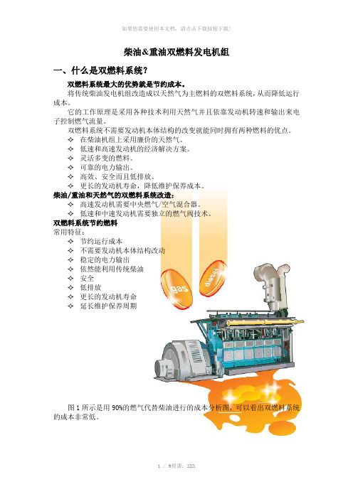 双燃料系统发电机组