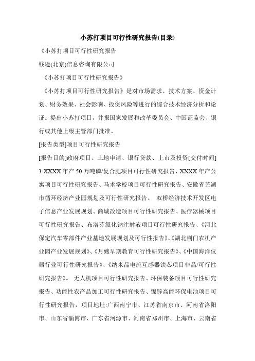 小苏打项目可行性研究报告(目录)