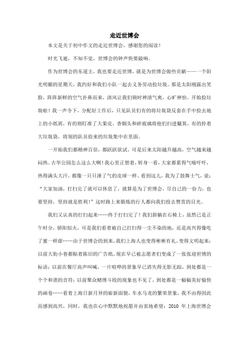 走近世博会_初中作文_3