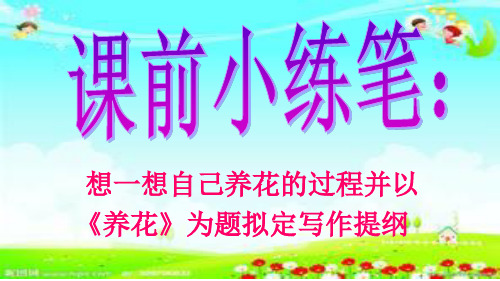 《养花》PPT