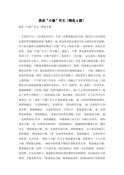 我是“小偷”作文(精选3篇)