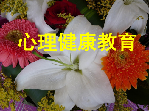 信心教育主题班会-克服自卑-走向自信