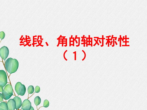 《线段、角的轴对称性》PPT课件 (同课异构)2022年苏科版 (12)