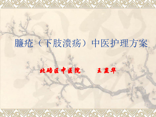 最新2014臁疮(下肢溃疡)中医护理方案课件ppt