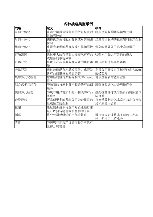 各种战略类型举例