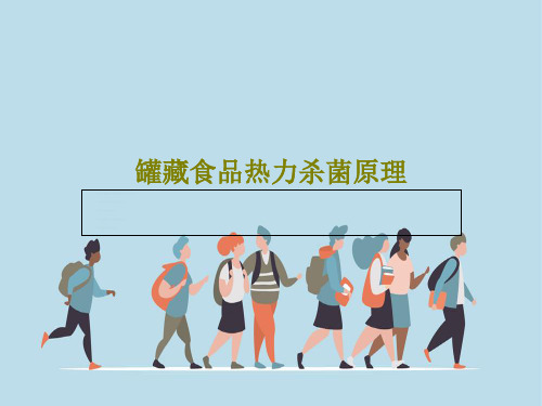 罐藏食品热力杀菌原理44页PPT