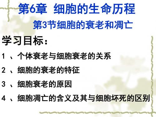 细胞的衰老、凋亡和癌变