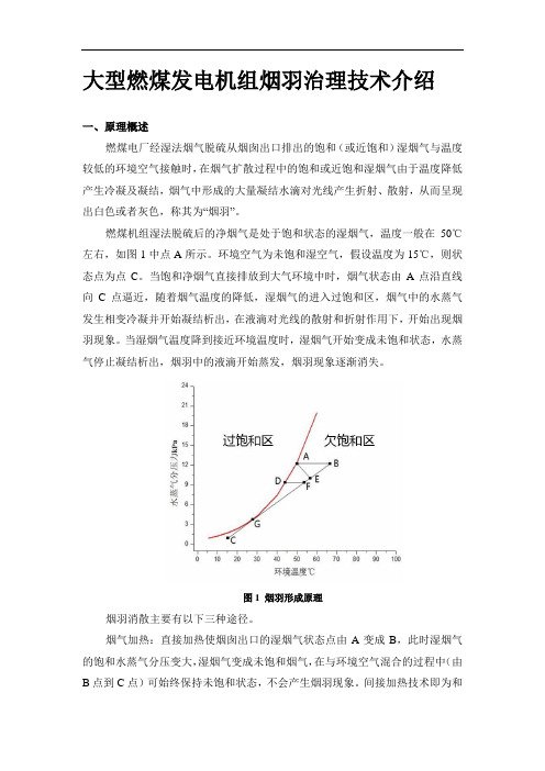 大型燃煤发电机组烟羽治理技术介绍
