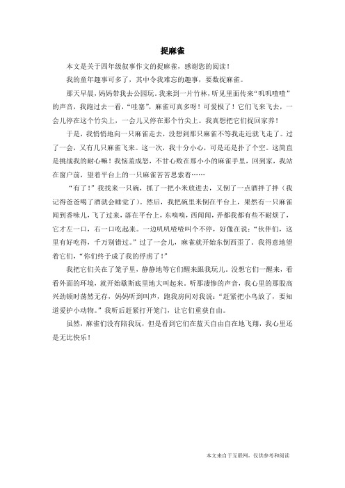 捉麻雀_四年级叙事作文