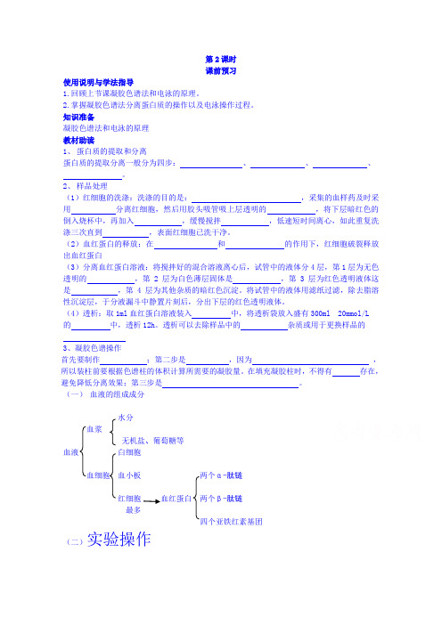 四川省岳池县第一中学2014-2015学年高中生物人教版选修1学案：专题5课题3(第2课时)