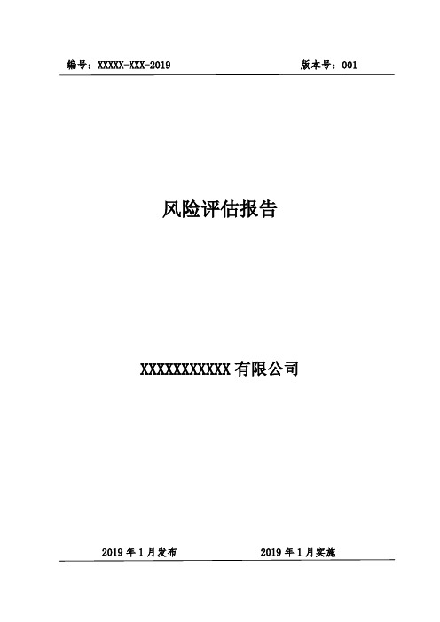 风险评估报告