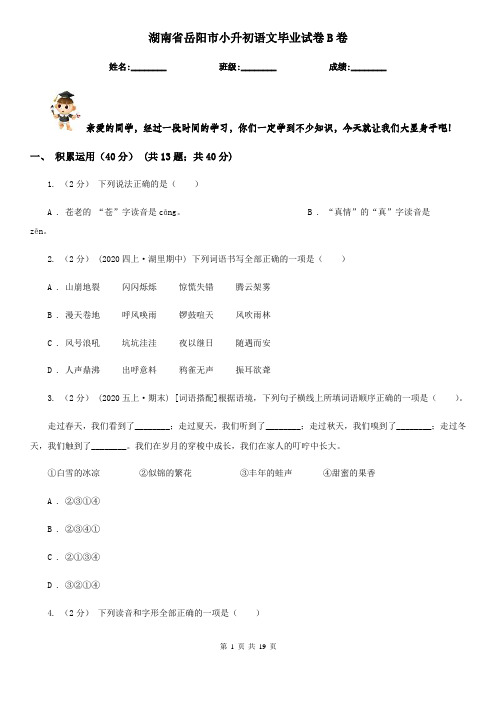 湖南省岳阳市小升初语文毕业试卷B卷