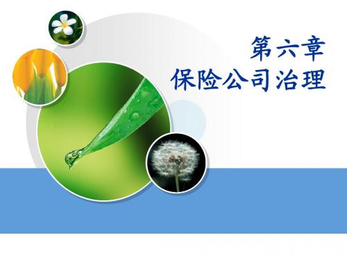 6.第六章  保险公司治理