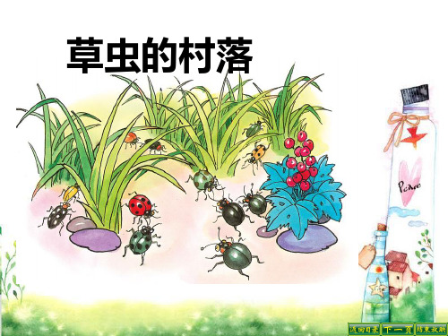 最新语文S版五年级语文下册10  草虫的村落PPT课件(PPT公开课优质教学课件)B